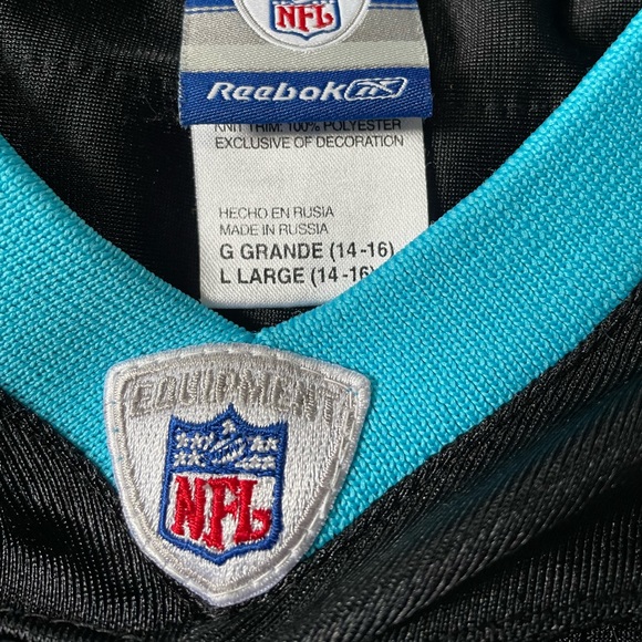 Reebok Carolina Panthers Delhomme Football Jersey number 17 - Picture 2 of 7